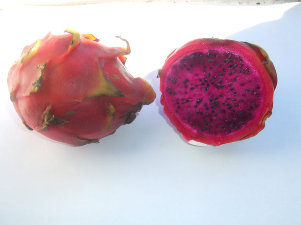 Dragonfruit Puree - 30 lb