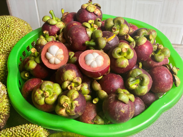 Mangosteen Puree - 30 lb